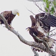 V3D3371 - Version 2 : NoteCard_Set_Q